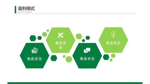 绿色食品商业创业计划书