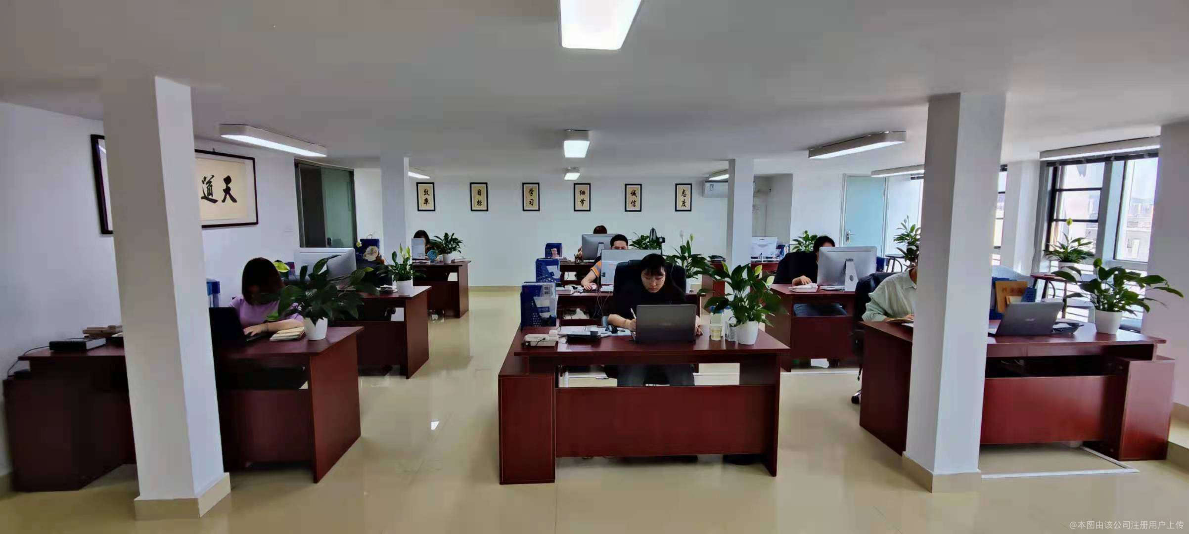 福建鸿鑫凯龙 以智慧赋能企业，用咨询服务擘画管理新蓝图