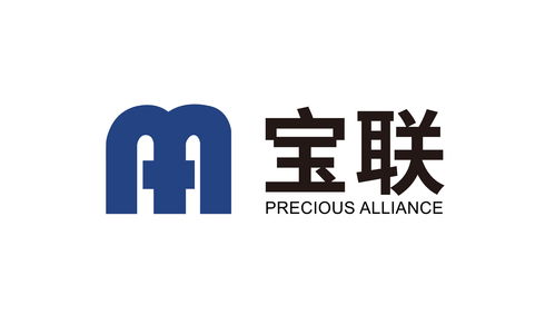 宝联企业管理咨询集团 赋能企业转型的战略伙伴